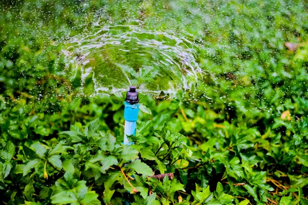 Sprinkler vatten arbetar i trädgården. — Stockfoto