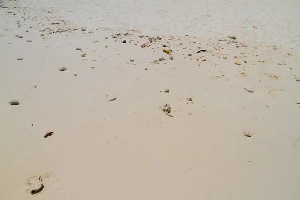 Útesu skály na písčité pláži pozadí. — Stock fotografie