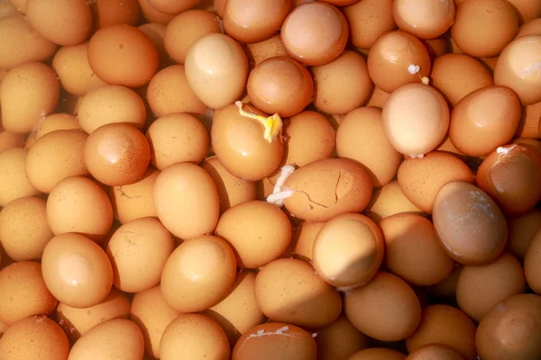 Gotowane Jajka Gotowane Garnku — Zdjęcie stockowe