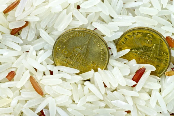 Koncepce peníze, mince v kulatozrnné rýže — Stock fotografie
