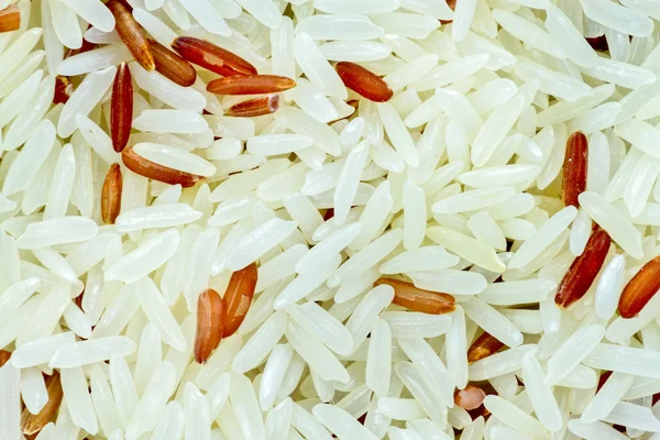 Bliska ziarna ryżu — Zdjęcie stockowe