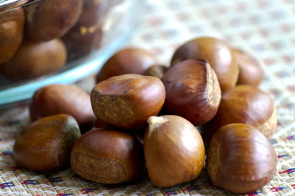 Kestane masa portre üzerinde — Stok fotoğraf