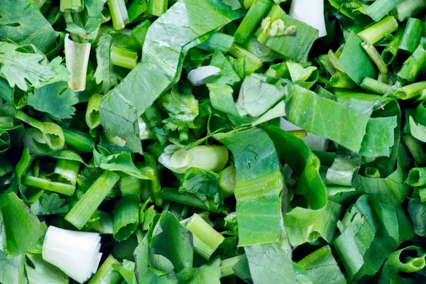 Stücke grünen Gemüses grüne Zwiebeln auf dem Boden — Stockfoto