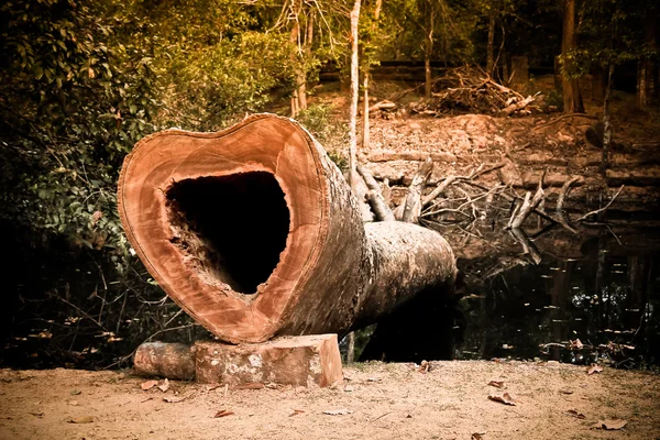 Uma árvore foi cortada em forma de um coração feito com um filtro macio — Fotografia de Stock