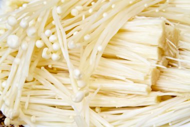 enokitake veya Golden mantar (Flammulina velutipes (Curt: Fr.