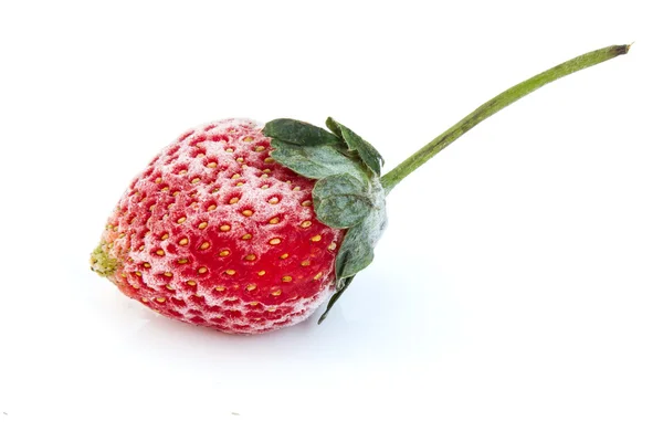 Strawberries, frozen strawberries on white background — Stock Photo, Image