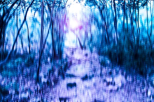 Foto de fundo abstrato borrada da floresta com movimento surrial — Fotografia de Stock