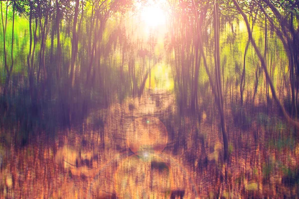 Αφηρημένα φόντο θολή φωτογραφία του δάσους με surrial κίνηση — Φωτογραφία Αρχείου