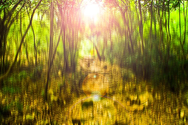 Foto de fundo abstrato borrada da floresta com movimento surrial — Fotografia de Stock