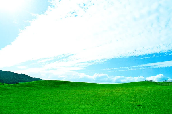 Groen veld en lucht — Stockfoto