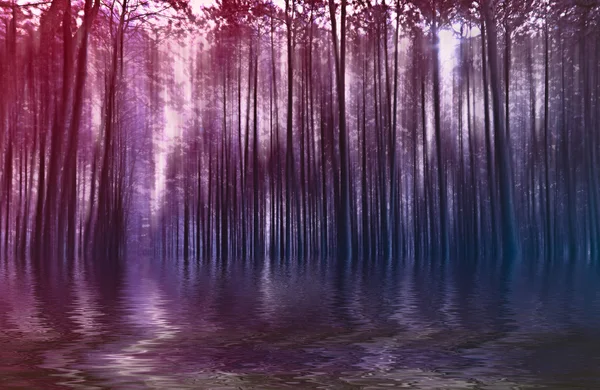 Wazig abstracte achtergrondfoto van bos met surrealistische beweging — Stockfoto