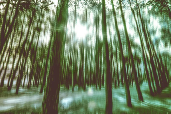 Verschwommene abstrakte Hintergrundaufnahme des Waldes mit surrealer Bewegung — Stockfoto