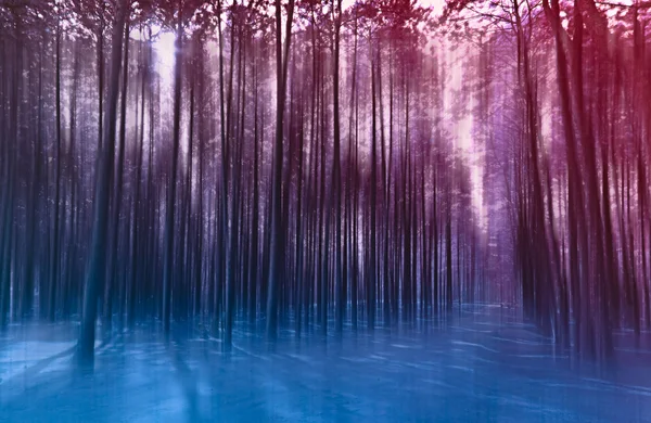Foto de fundo abstrato borrada da floresta com movimento surreal — Fotografia de Stock