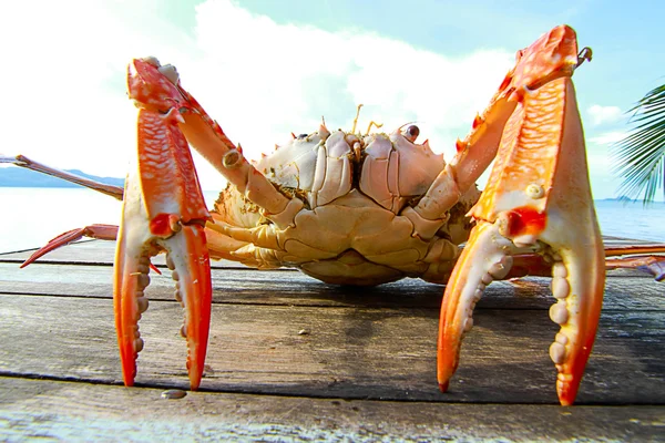 Närbild på Sea krabba på bordet nära havet — Stockfoto