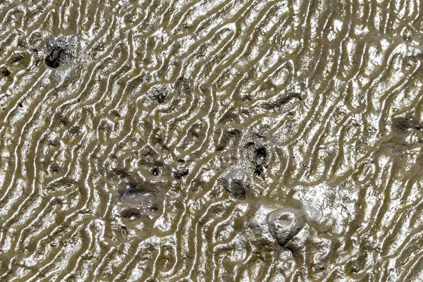 Sol boueux pendant la marée basse — Photo