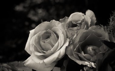 Gül Bahçe içindeki tablo üzerinde