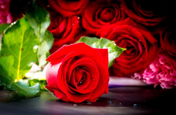 Rosa fresca cor de leitura e bonita na mesa de mármore — Fotografia de Stock