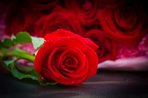 バラの新鮮な色の読み取りと美しい大理石のテーブル — ストック写真