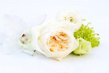 Güzel beyaz gül beyaz masa üzerinde.