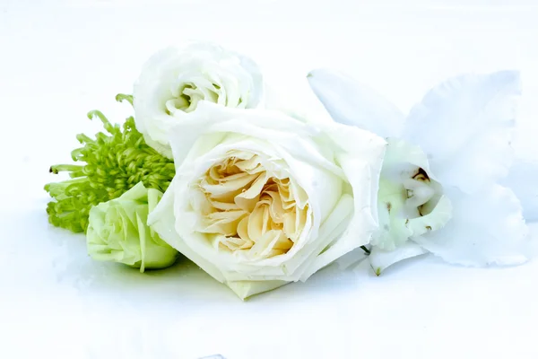 Beautiful white roses on white table.