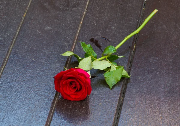 Rosa roja en el suelo de madera — Foto de Stock