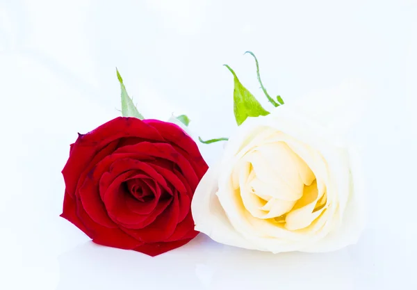 Rose rouge et rose blanche sur table blanche — Photo