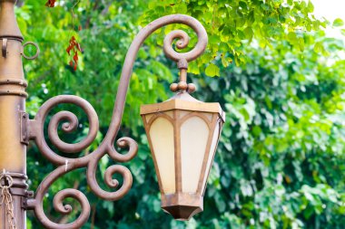 Bahçedeki antika lambalar .