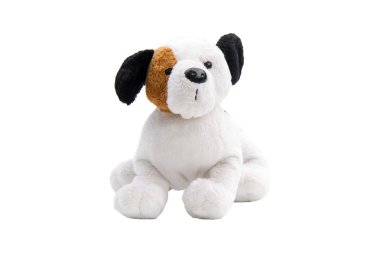 bir izole köpek oyuncak