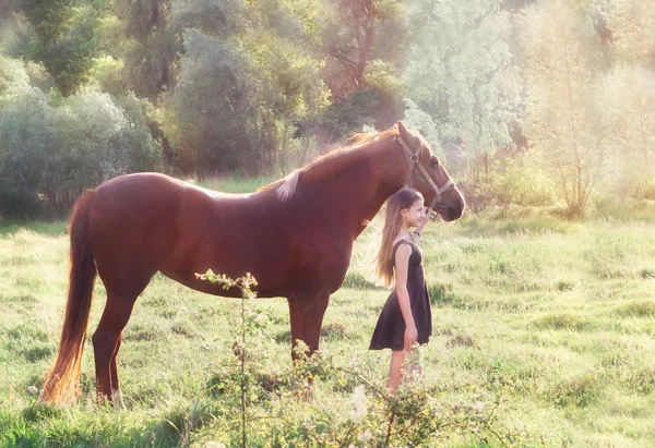 Девушка и ее лошадь на солнечном поле — стоковое фото