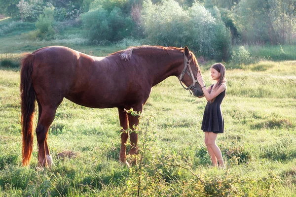 Onun atı okşayarak kız — Stok fotoğraf