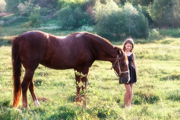Девушка гладит свою лошадь — стоковое фото