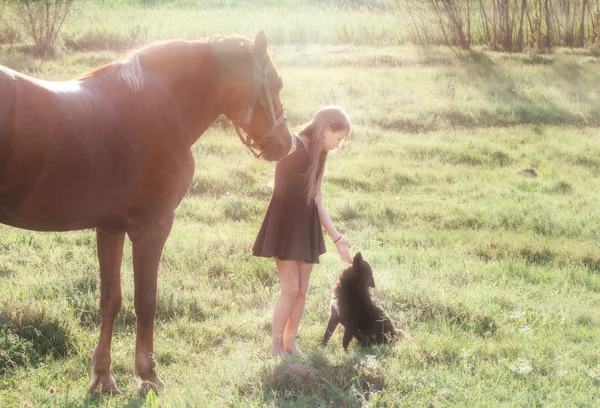 Menina leva seu cavalo e acariciando cão preto — Fotografia de Stock