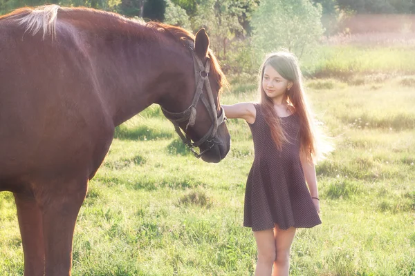 Girl stroking her horse — Stock Photo, Image