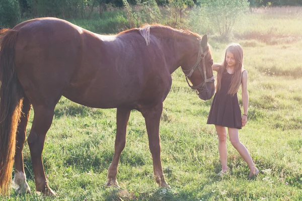 Onun atı okşayarak kız — Stok fotoğraf
