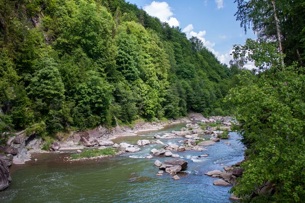 Karpat Dağları'nda nehir manzara