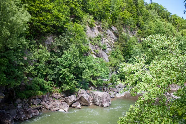 Údolí řeky v Karpatských horách — Stock fotografie