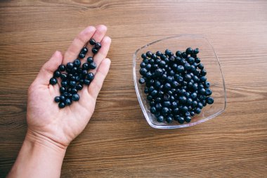 Yaban mersini palmiye ve cam levha