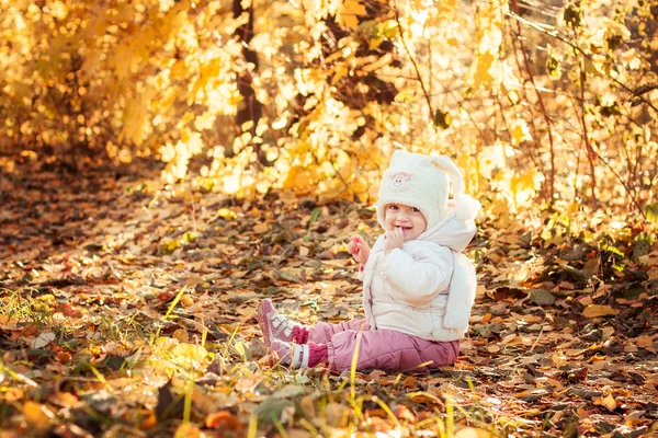 Söt unge sitter på hösten lämnar — Stockfoto