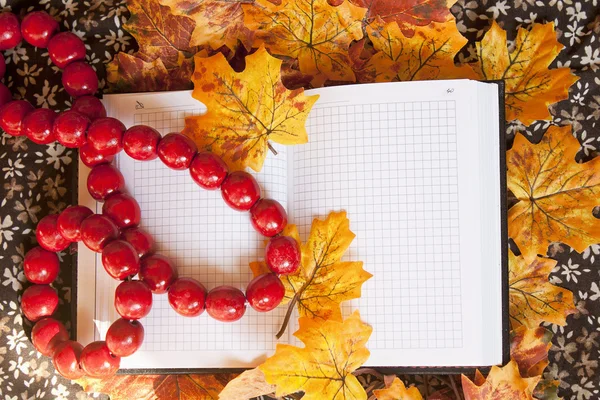 defter ve kırmızı kolye üzerinde sonbahar yaprakları
