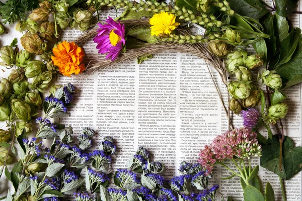 Different flowers on newspaper background — Stock Photo, Image