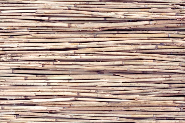 Reed sfondo secco — Foto Stock