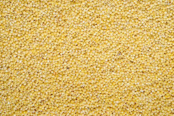 Food background of yellow grains of millet — Stock Photo, Image