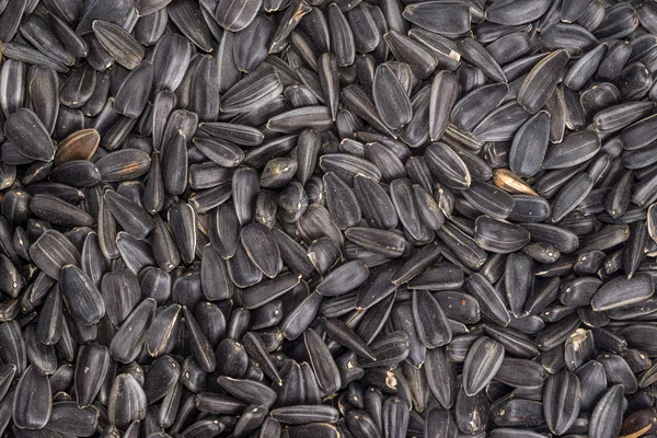 Sfondo di cibo da semi neri di girasole — Foto Stock