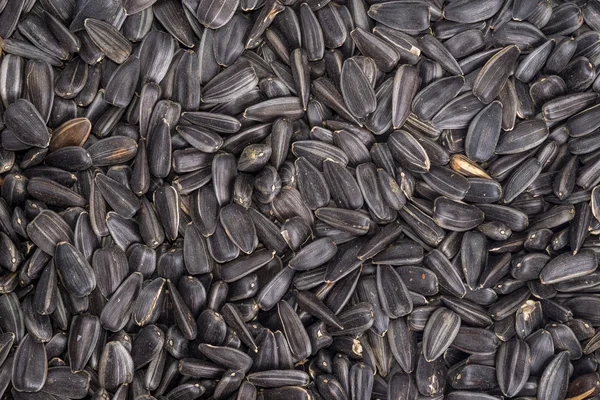 Food background from black seeds of sunflower — Stock Photo, Image