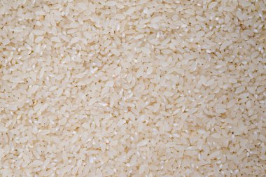 food background of white round rice  clipart