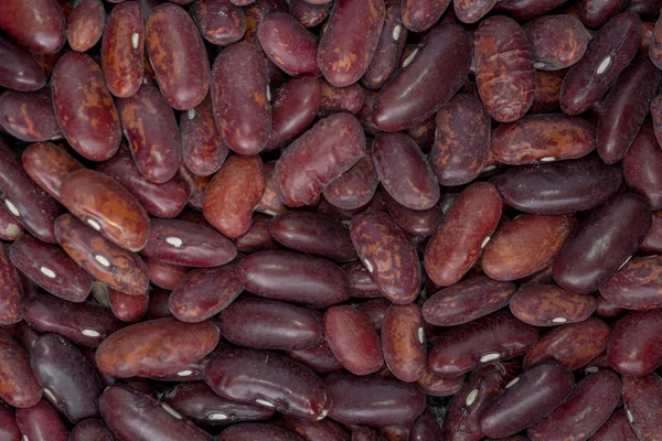 Delicious food background of brown beans — Stock Photo, Image