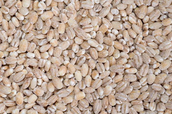 Food background of beige grain barley — Stock Photo, Image