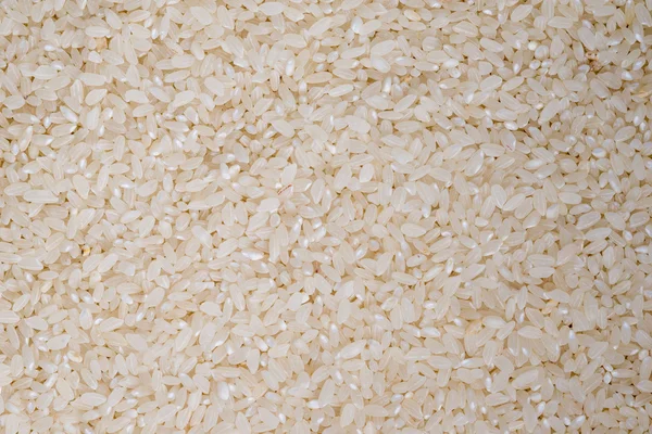 Food background of white round rice — Stock Photo, Image