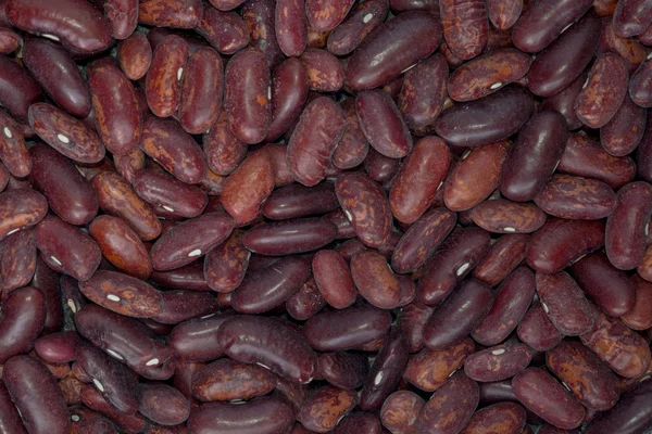 Delicious food background of brown beans — Stock Photo, Image