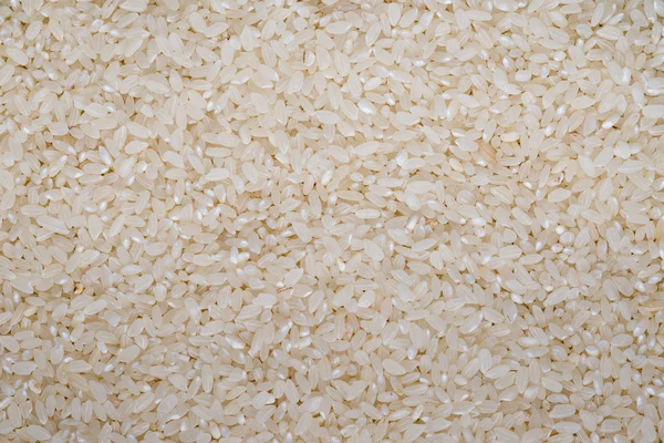 Fondo alimenticio de arroz redondo blanco — Foto de Stock